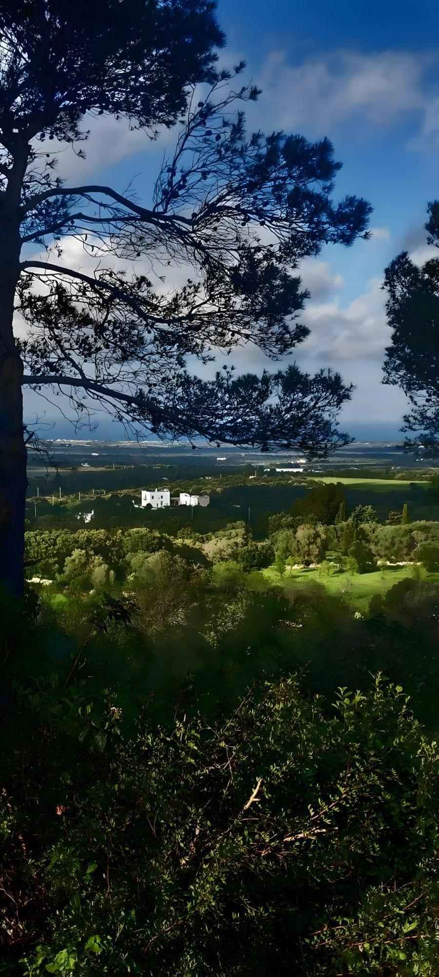 Trullo Vista Villa Ostuni Buitenkant foto