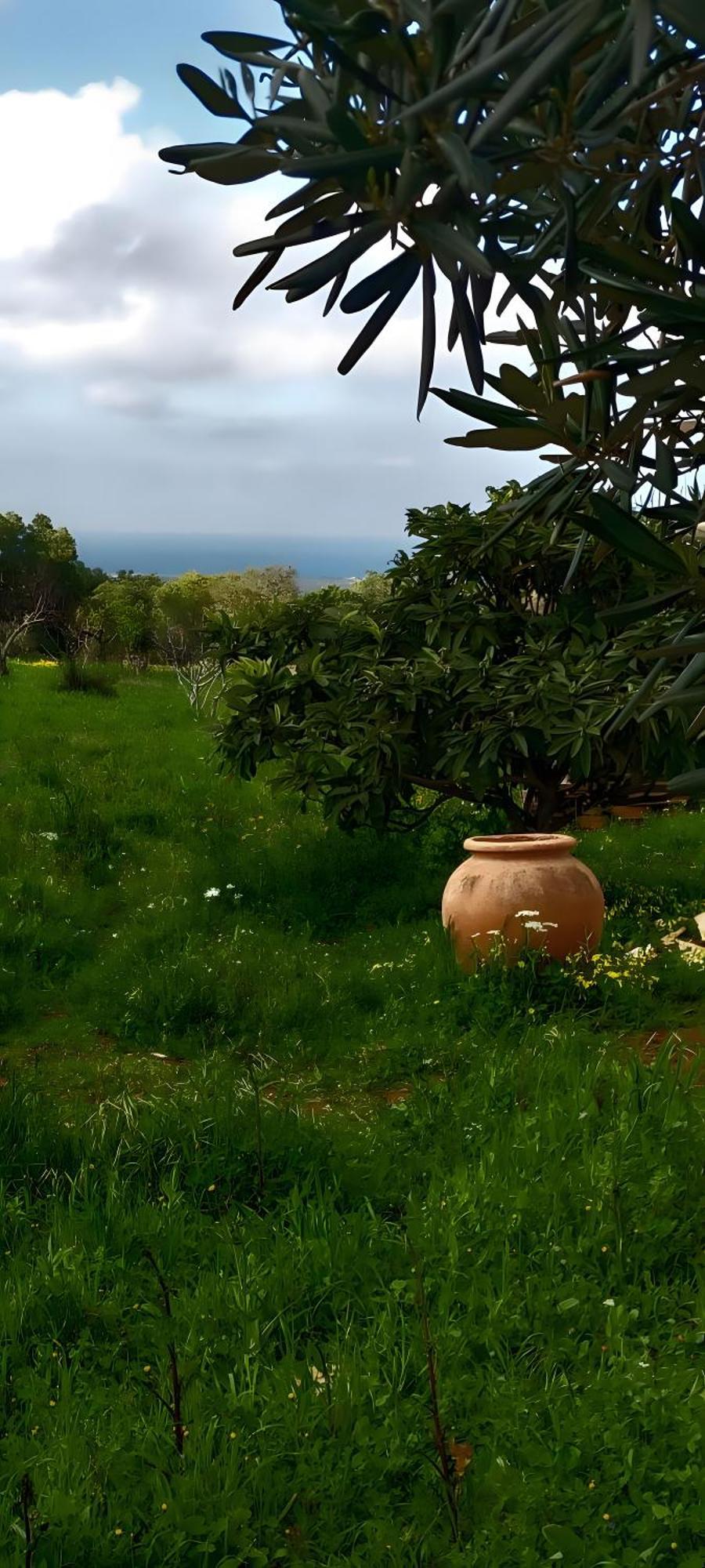 Trullo Vista Villa Ostuni Buitenkant foto